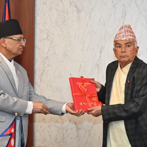 राष्ट्रपतिसमक्ष राष्ट्रिय समावेशी आयोगको वार्षिक प्रतिवेदन पेस